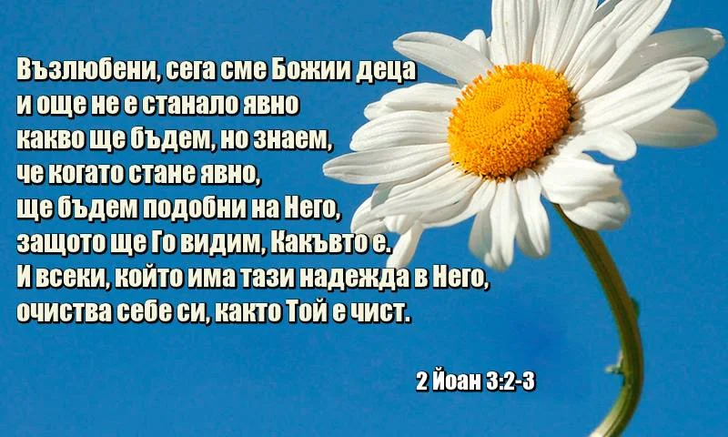 0 (14)_2192115.webp