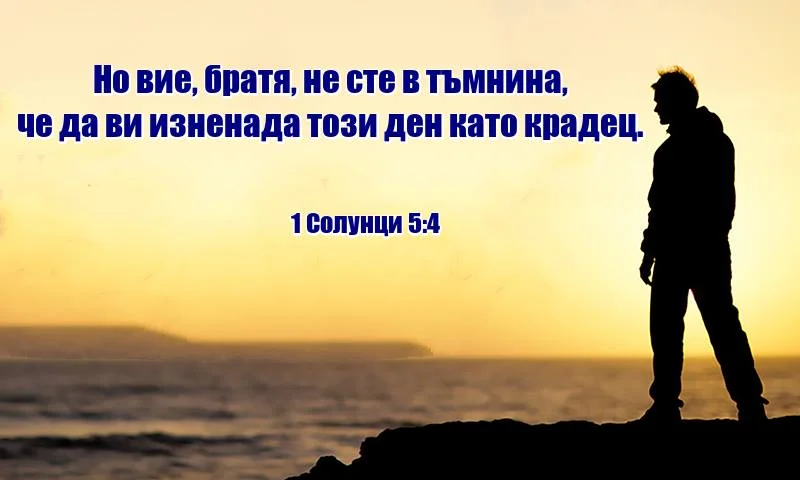 0 (16).webp