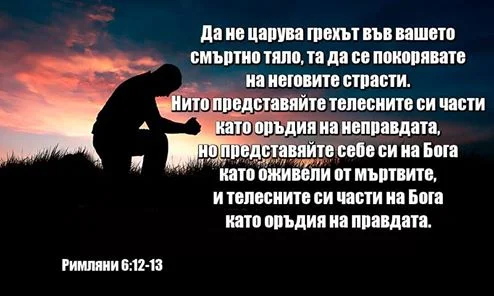 0 (18)_2192119.webp