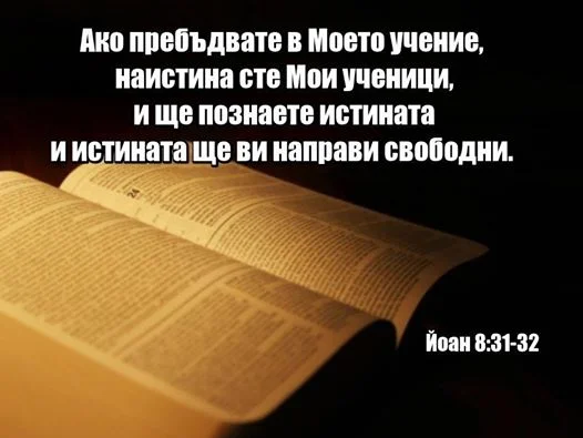 0 (19).webp