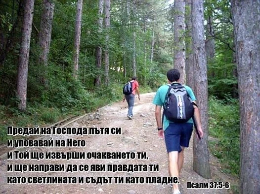 0 (20)_2192121.webp