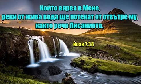 0 (21).webp