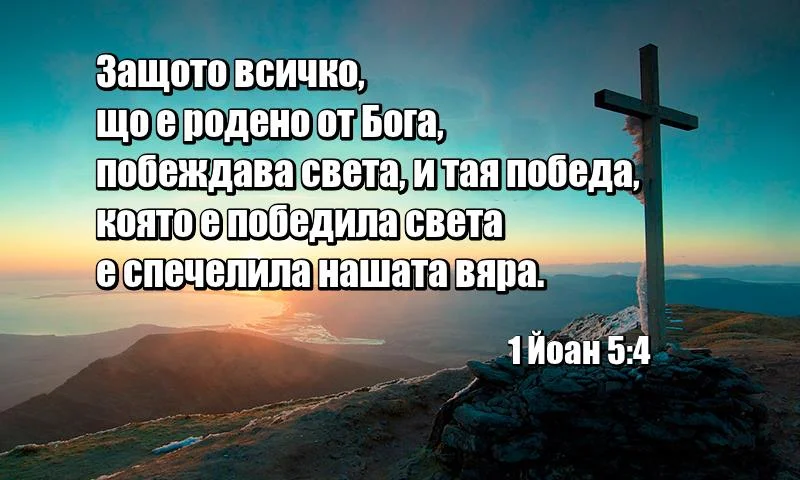 0 (22)_2192123.webp