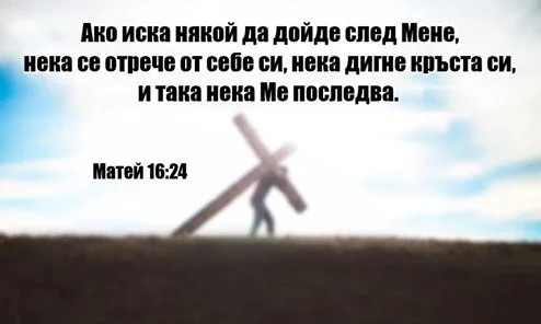 0 (22).webp