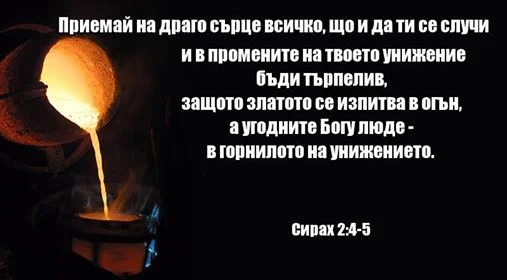 0 (23).webp