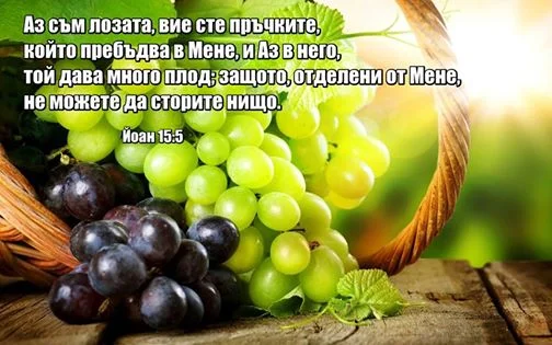 0 (25)_2192126.jpg