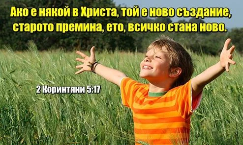 0 (25).webp