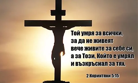 0 (3)_2192093.webp