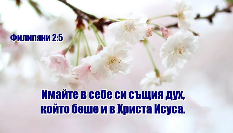 0 (33).webp