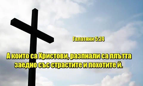 0 (4)_2192097.webp