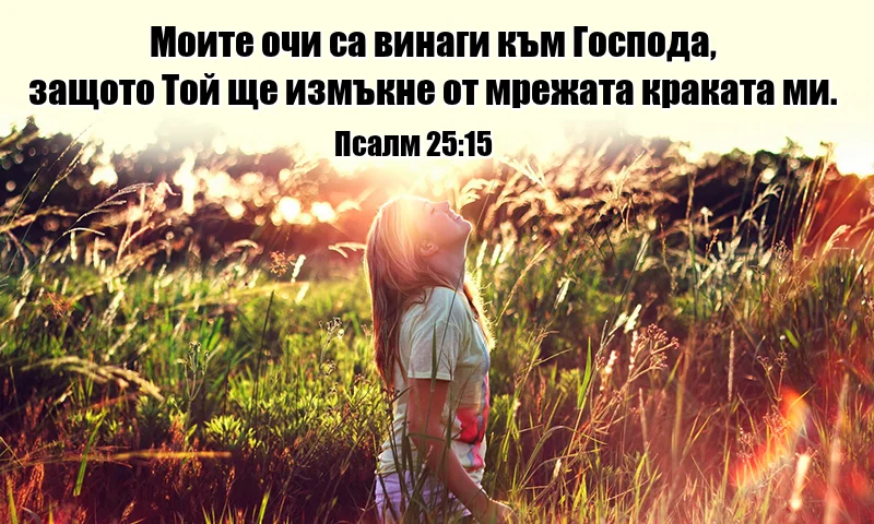 0 (60).webp