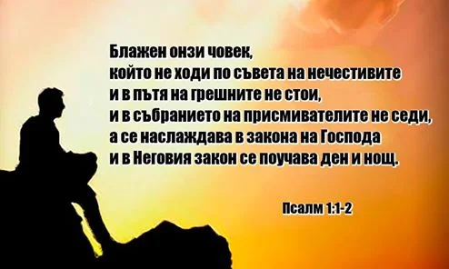 0 (9).webp
