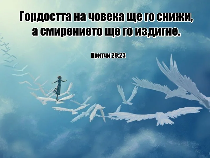 09.jpg
