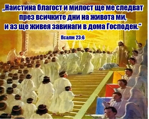 11.webp