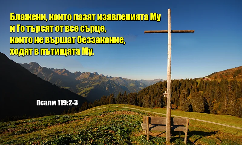 14 (3).png