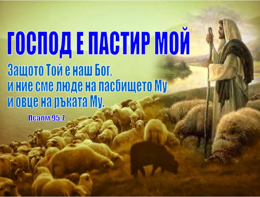 1_2069436.webp