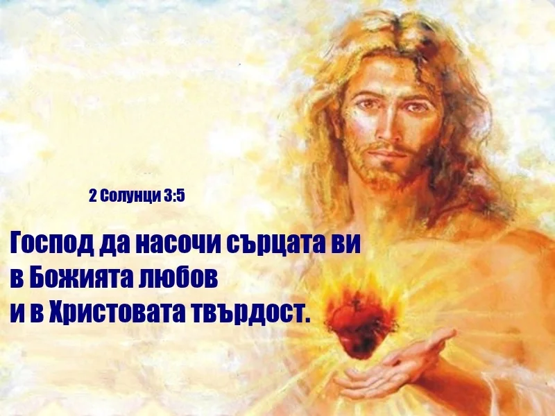 35.webp