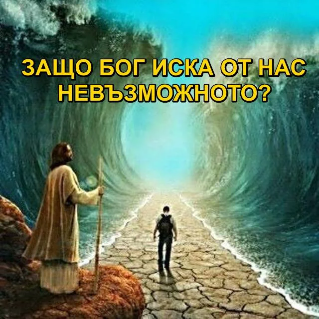 77QTXAVhZKDv.jpg