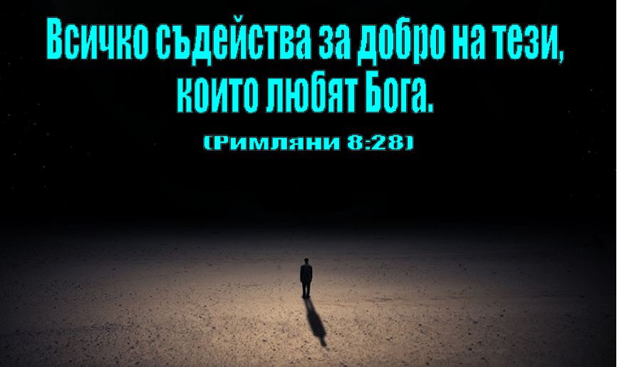 Без име_1820432.png