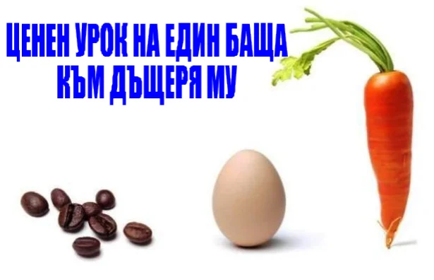 Без име_1823564.webp