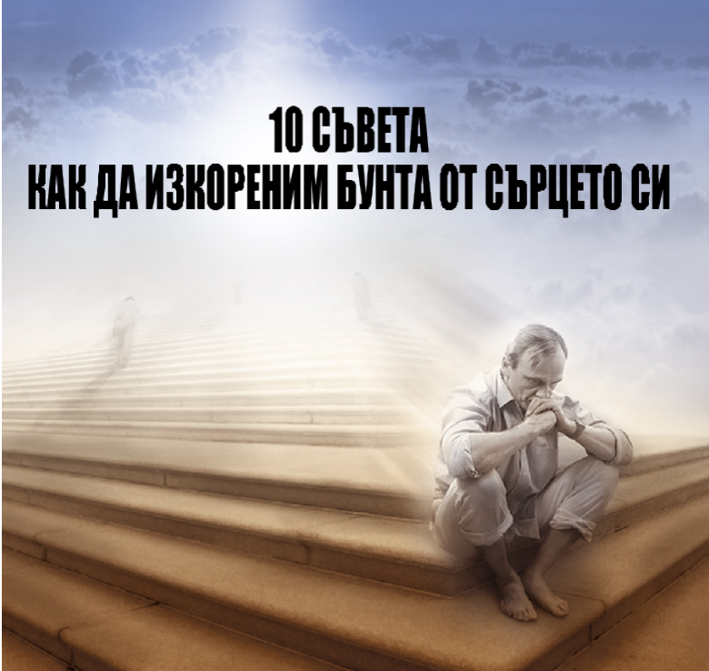 Без име_1839972.png