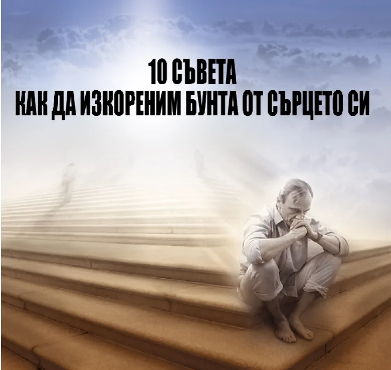 Без име_1839972.webp