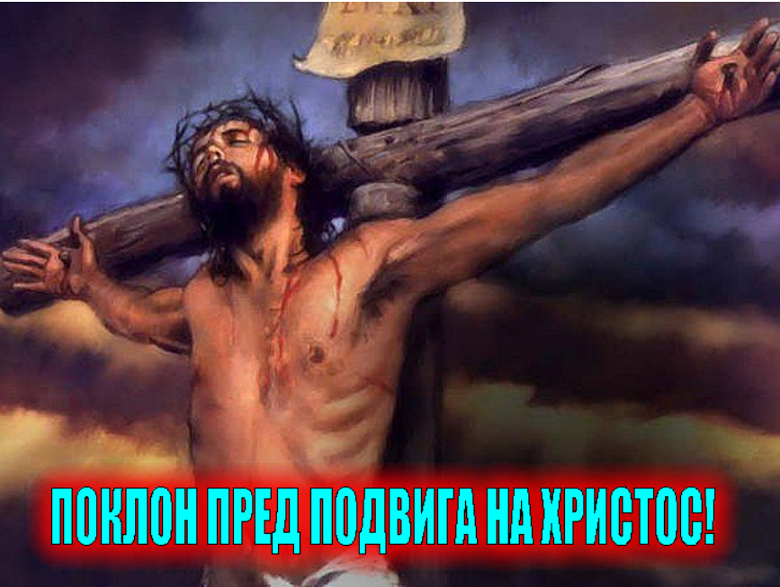 Без име_1848493.png