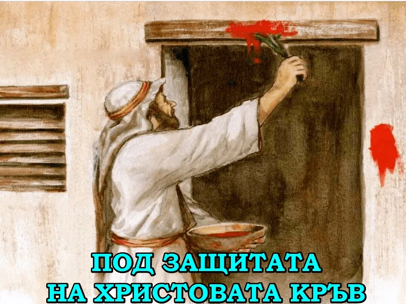 isndZ69f3nPv.webp