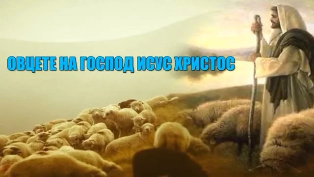 ОВЦЕТЕ НА ГОСПОД ИСУС ХРИСТОС.mp4_000001.787.webp
