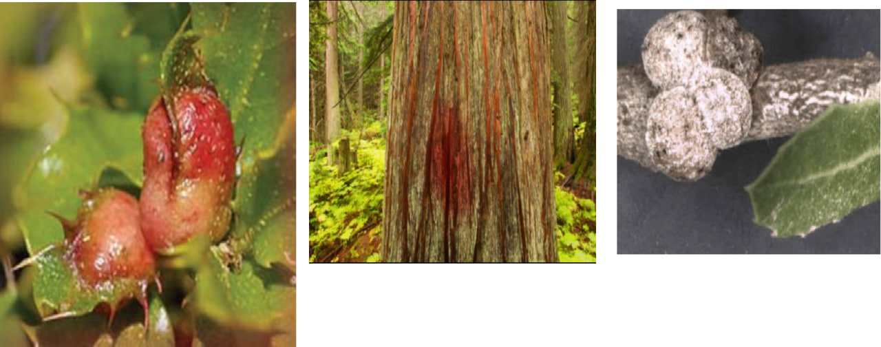 photo_2024-05-29_12-13-52.jpg photo_2024-05-29_12-13-52.jpg