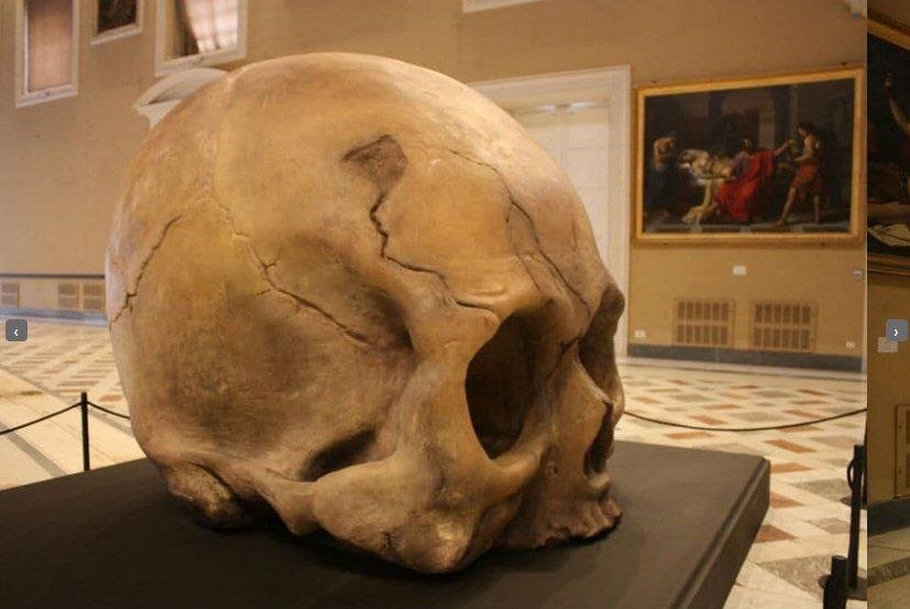 24 метров гигант