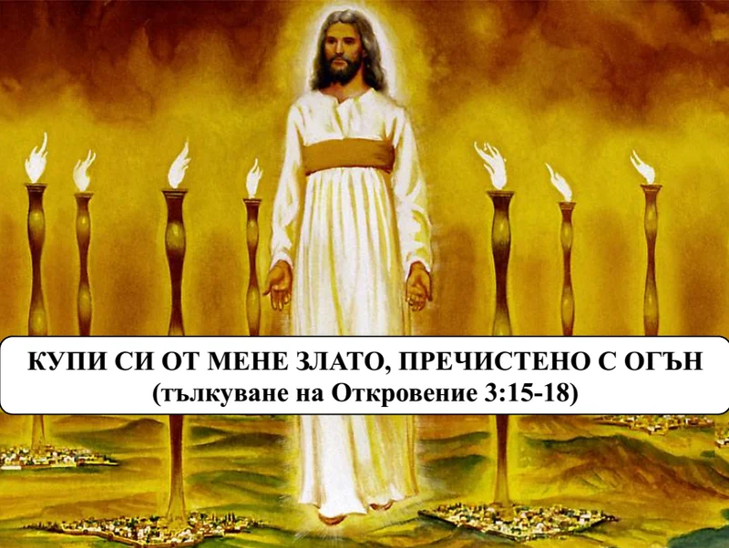 s800 (11).webp