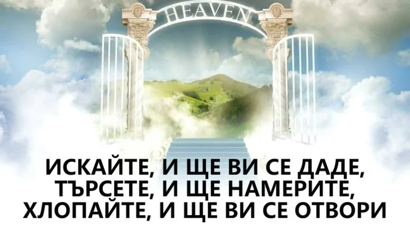 s800 (4).webp