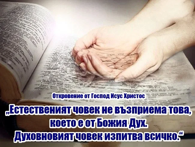 uYZA4APrOPYW.webp