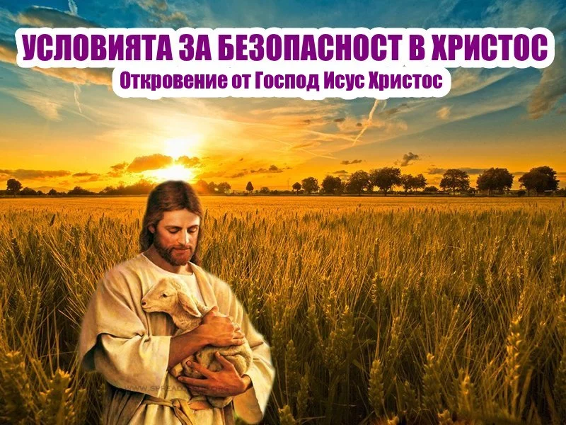 z1Xdp4UAjj2l.webp